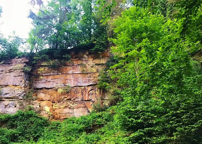 Ferienheim Kuckuckswinkel Дом отдыха Schona